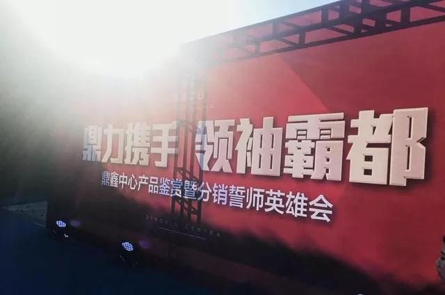 鼎力攜手，領(lǐng)袖霸都！合肥鼎鑫中心產(chǎn)品鑒賞暨分銷誓師英雄會圓滿落幕！