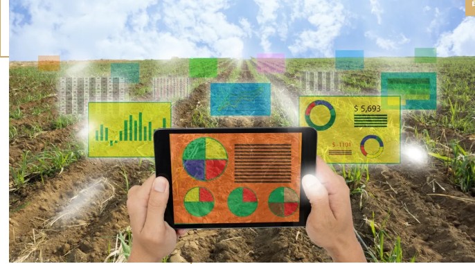 馬云說“致富未來在農(nóng)村”,那么農(nóng)村未來的致富人群是哪類人？