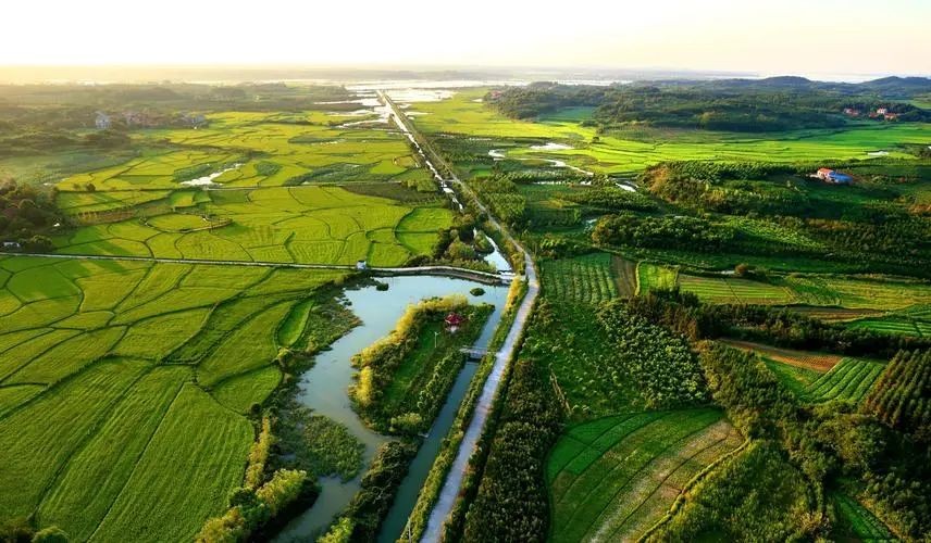 鄉(xiāng)村振興背景下，有機農業(yè)3.0時代的思考