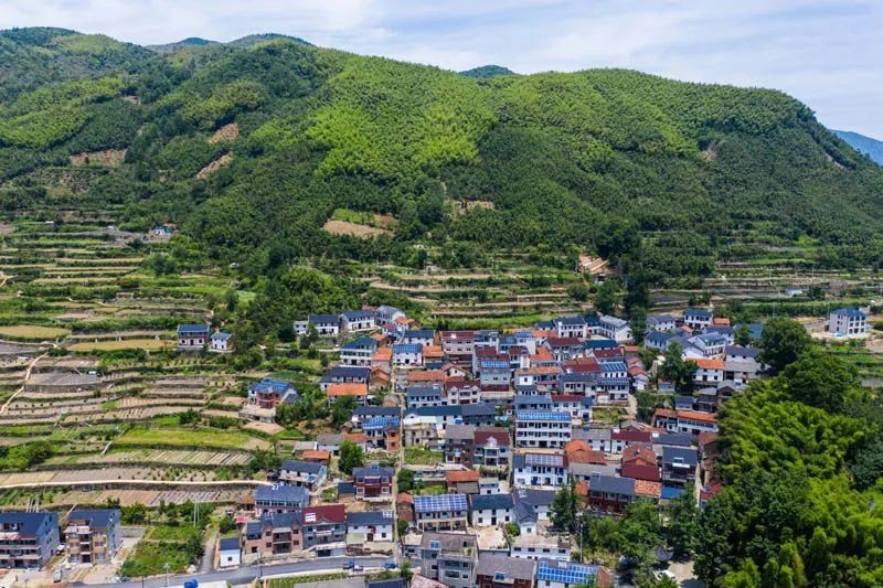 老鄉(xiāng)！別錯過今年這些惠農(nóng)好政策