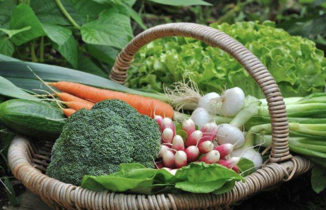 進一步壓實“菜籃子”市長負(fù)責(zé)制