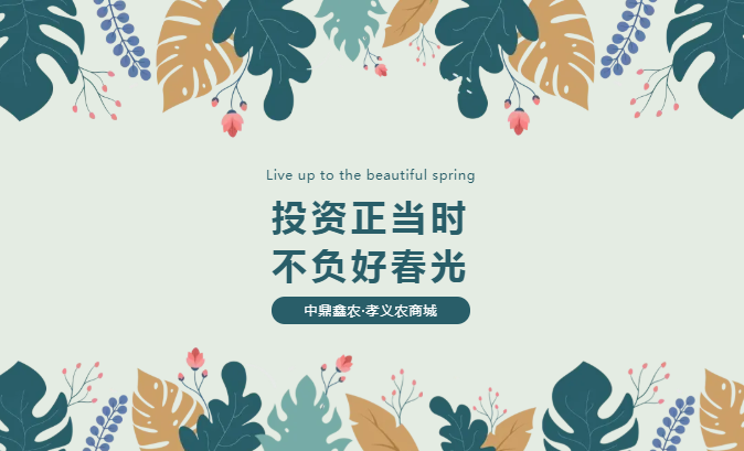 孝義唯一大產(chǎn)權(quán)的農(nóng)批商鋪，投資有保障！